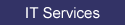 IT consulting services